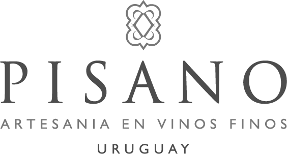 Pisano