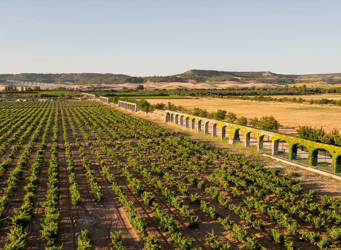 Vega Sicilia
