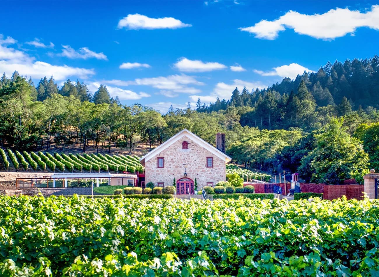 Morlet Family Vineyards