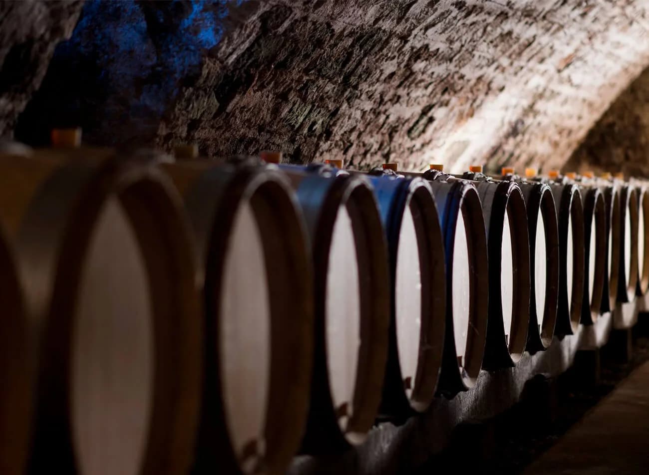 Domaine Jean-Paul & Benoît Droin