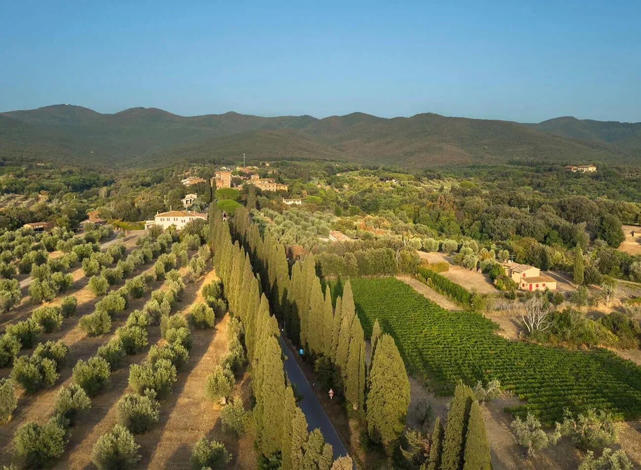 Ornellaia