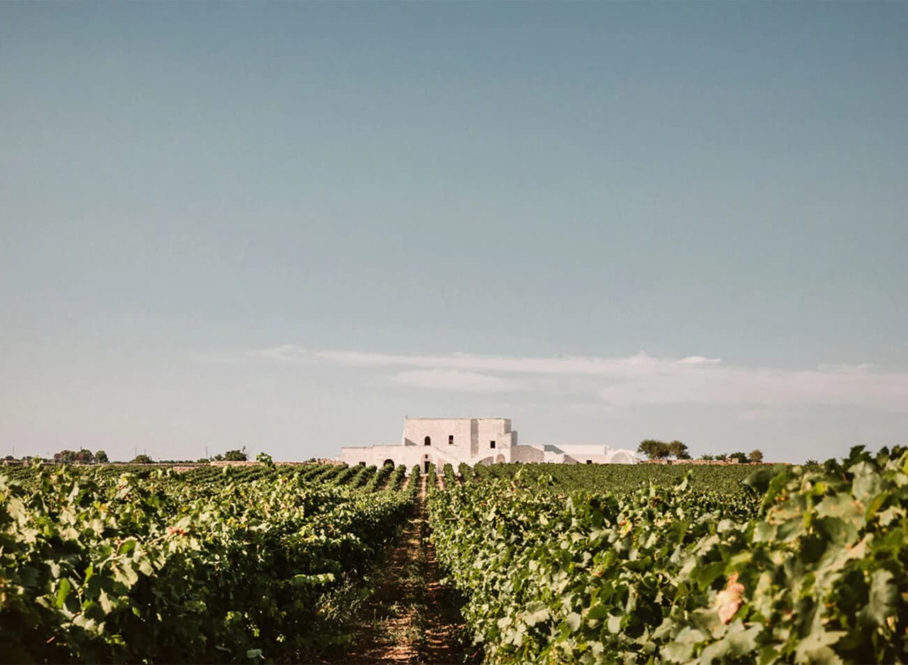 Masseria Samia (San Marzano)