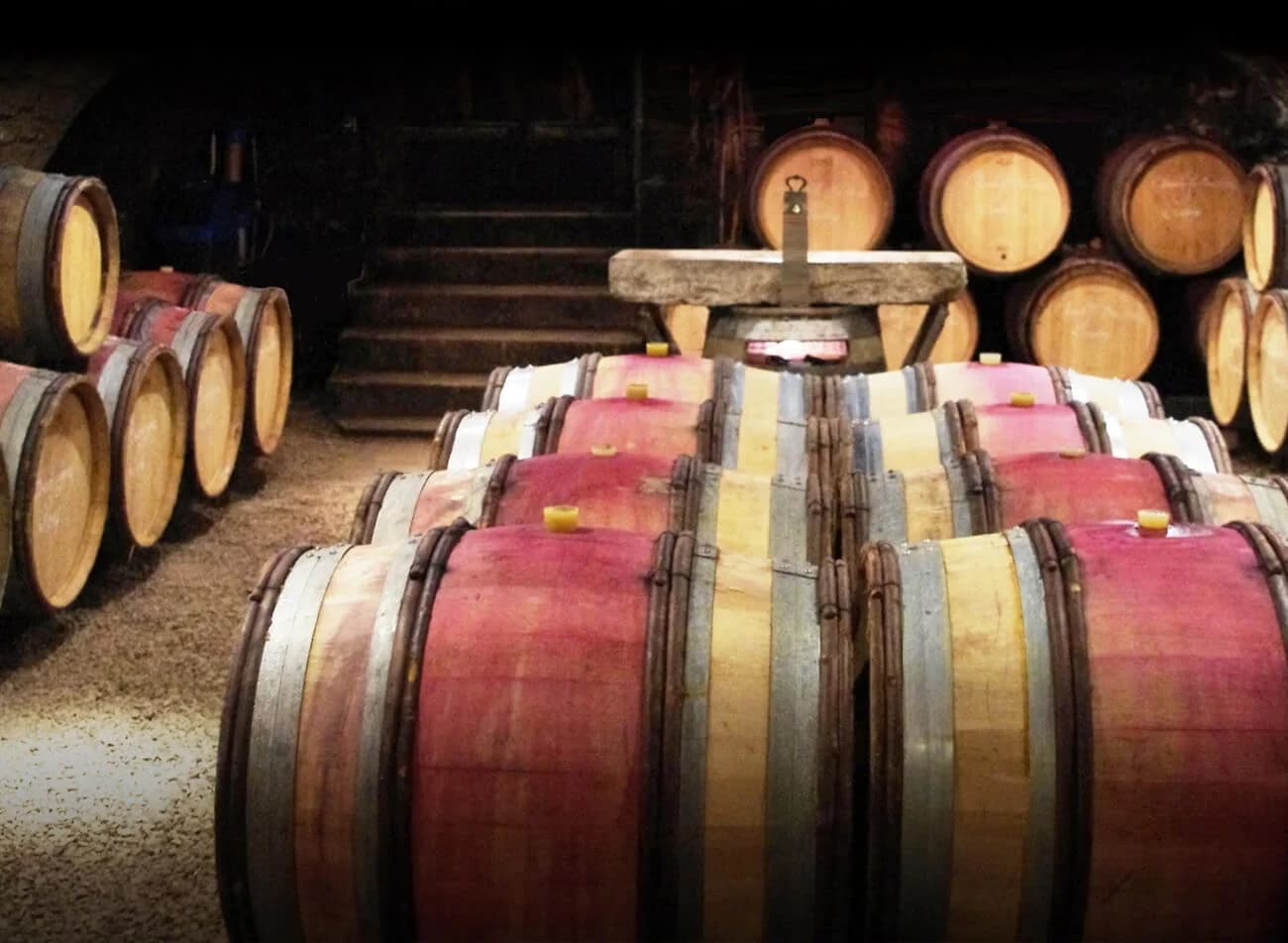 Domaine Stéphane Magnien