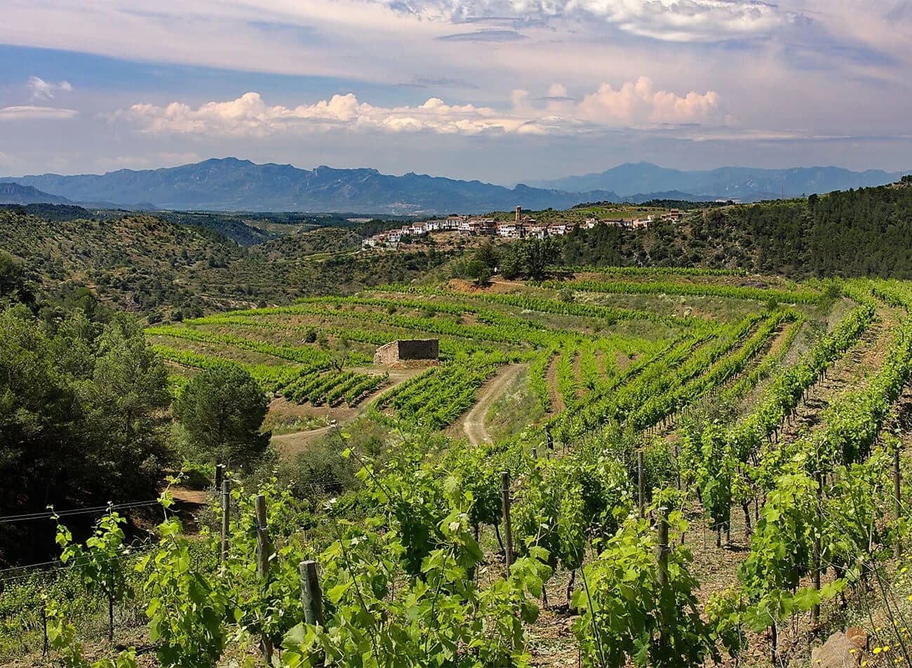 Clos Figueras