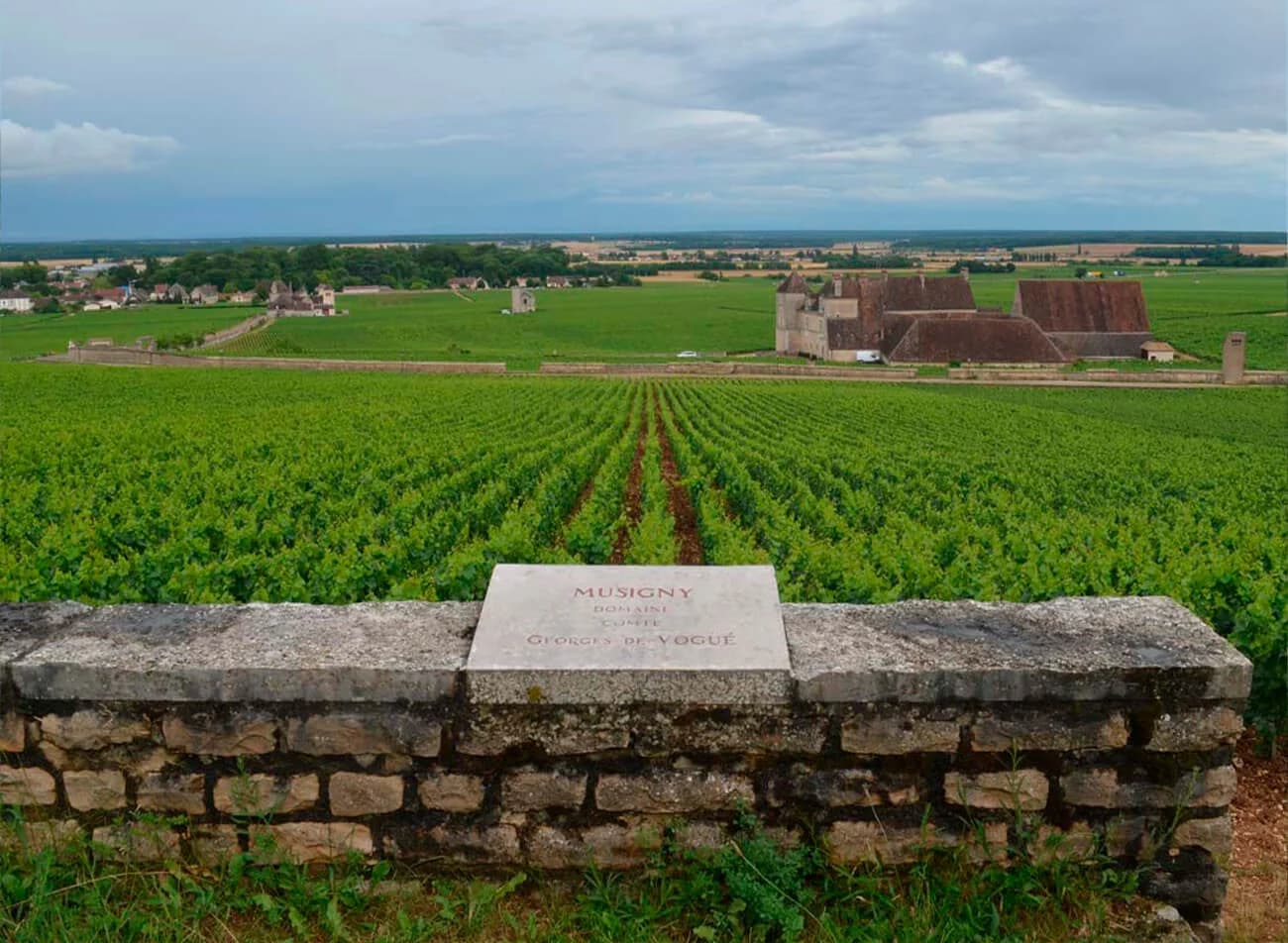 Domaine Comte Georges de Vogüé