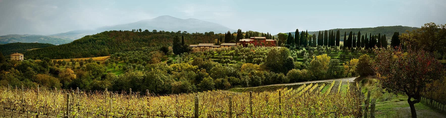 Biondi-Santi