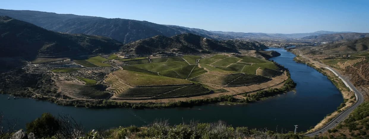 Quinta do Vale Meão