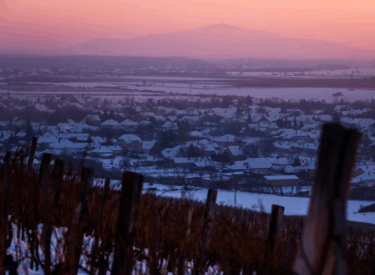Tokaj Oremus (Vega Sicilia)
