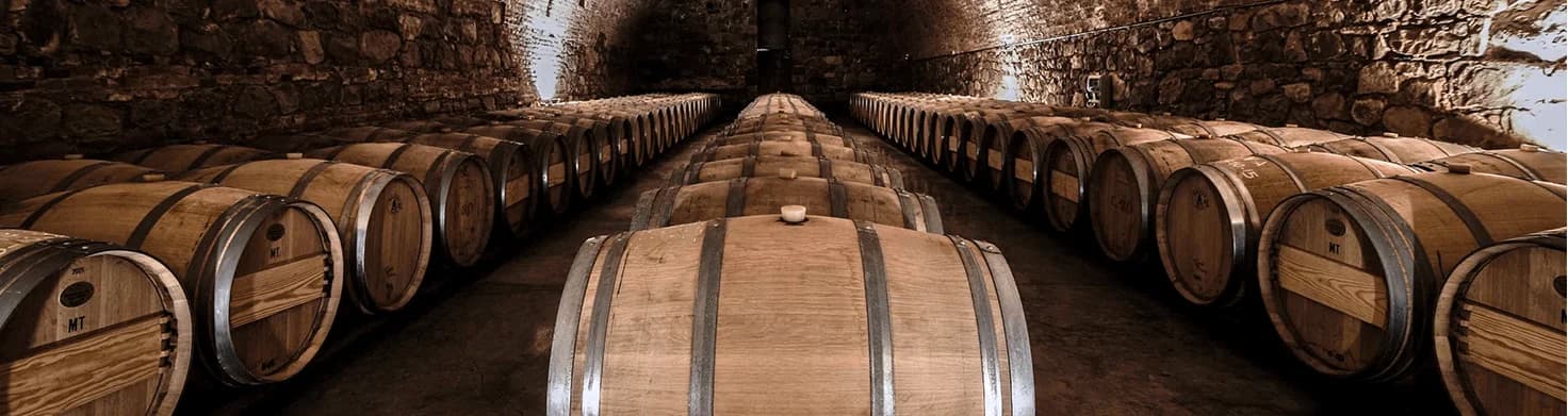 Bodegas Caro (Catena & Rothschild)
