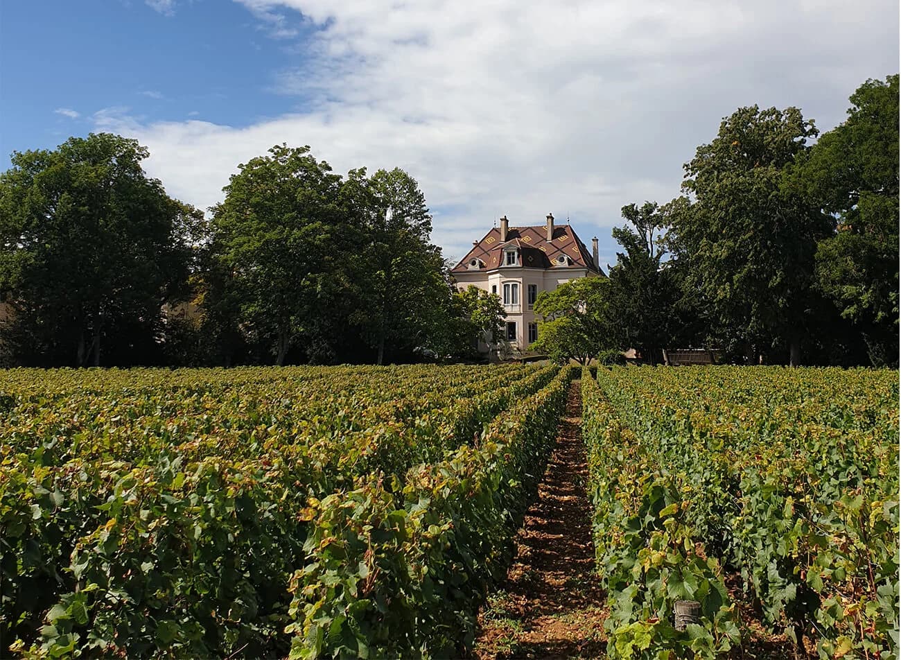Domaine des Comtes Lafon