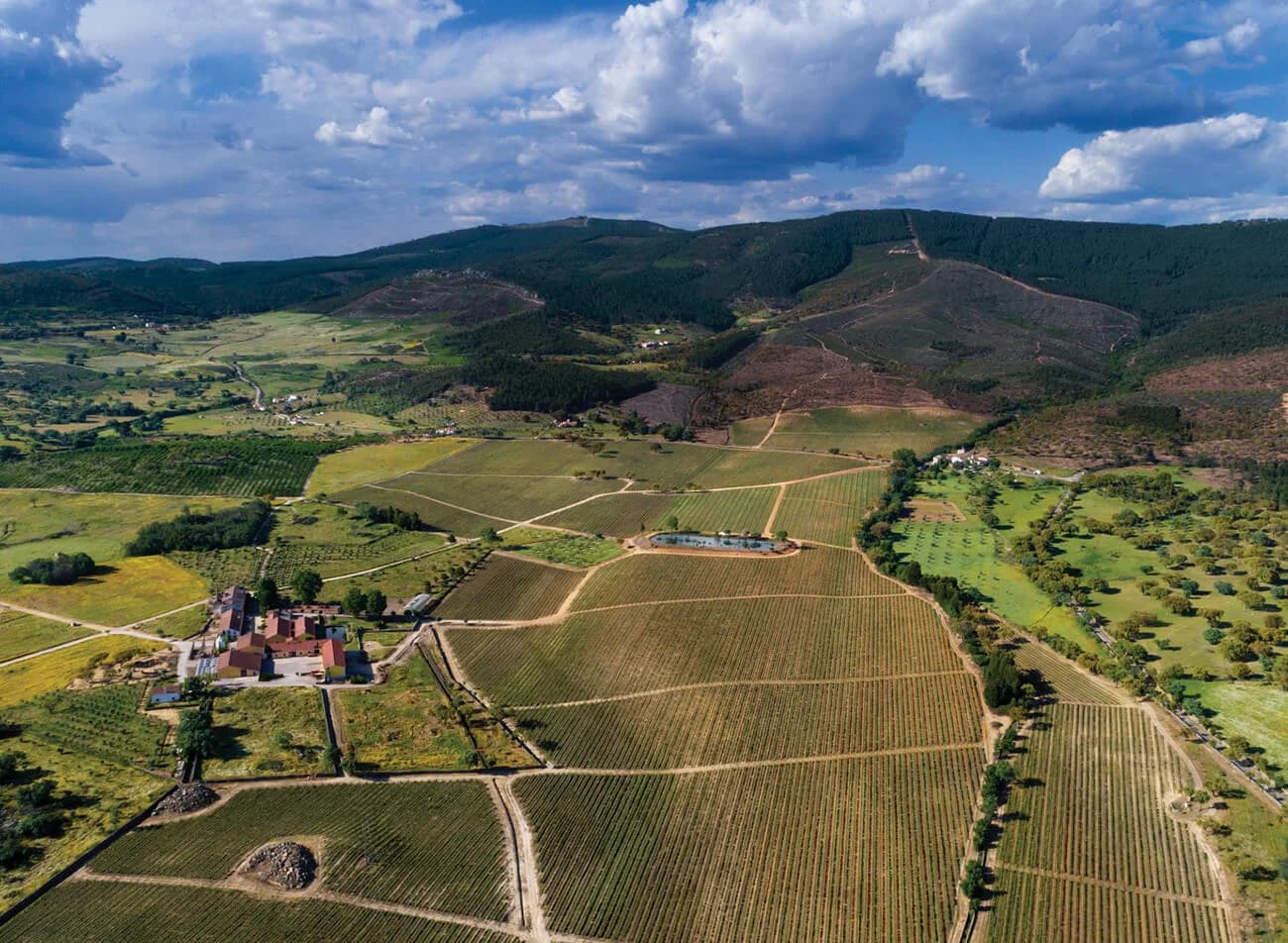 Quinta da Fonte Souto (Symington)