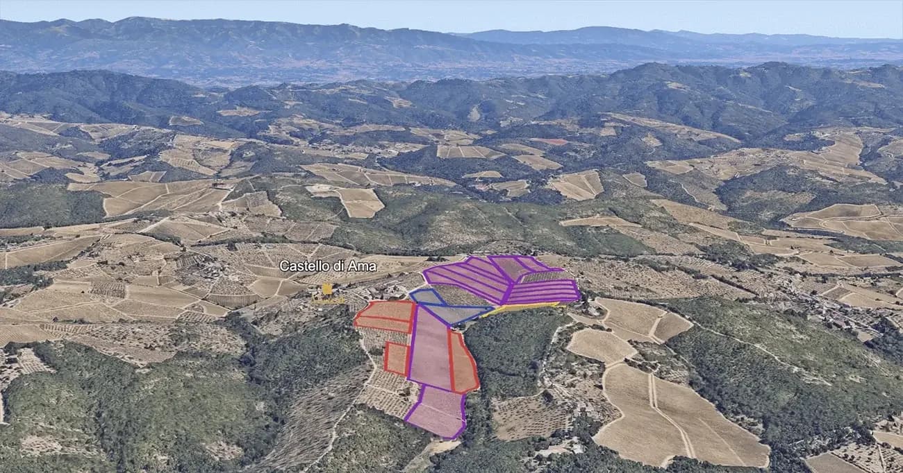 Mapa do terroir - Purple Rose 2022