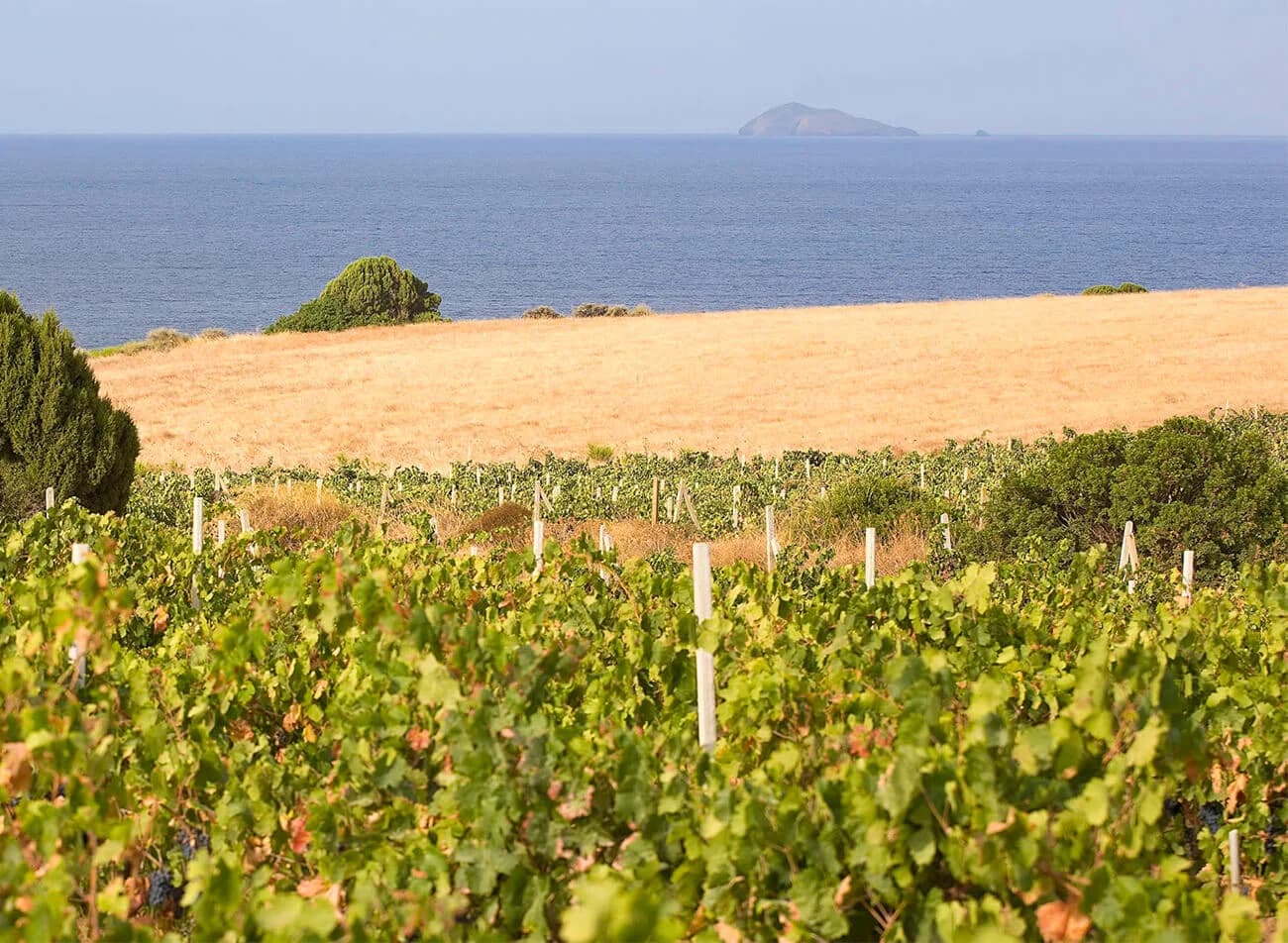 Sardegna