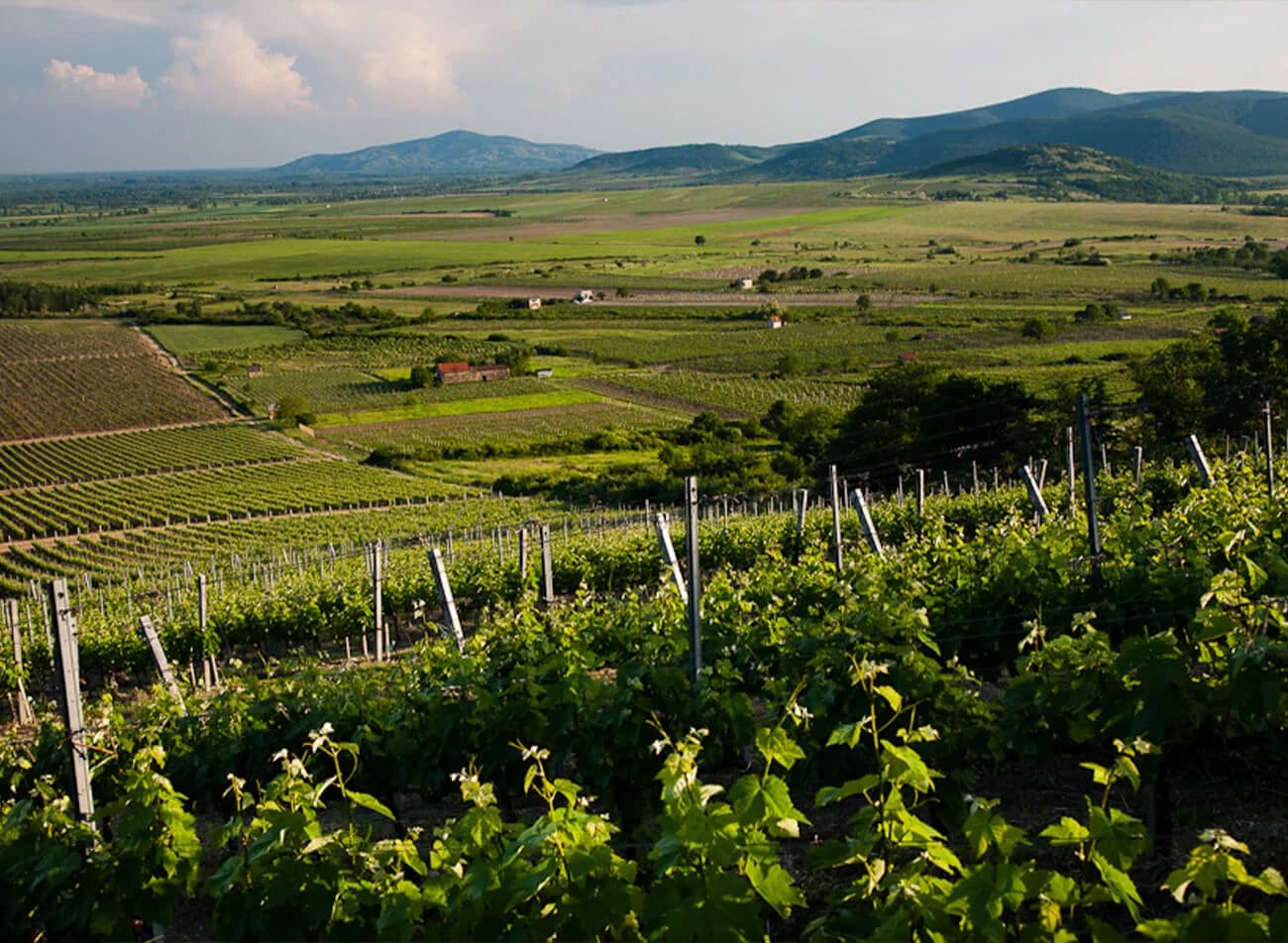Tokaj