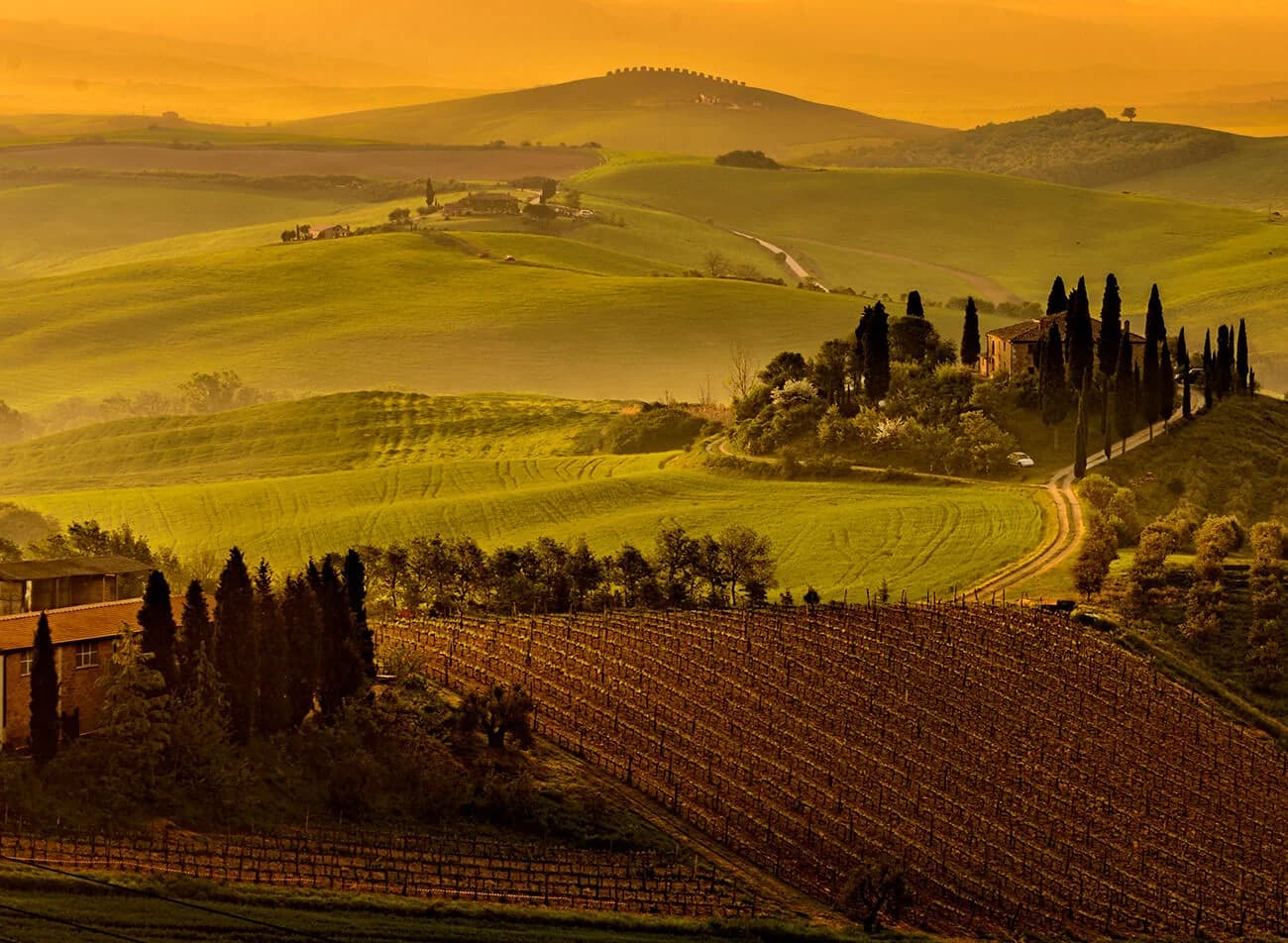 Bolgheri