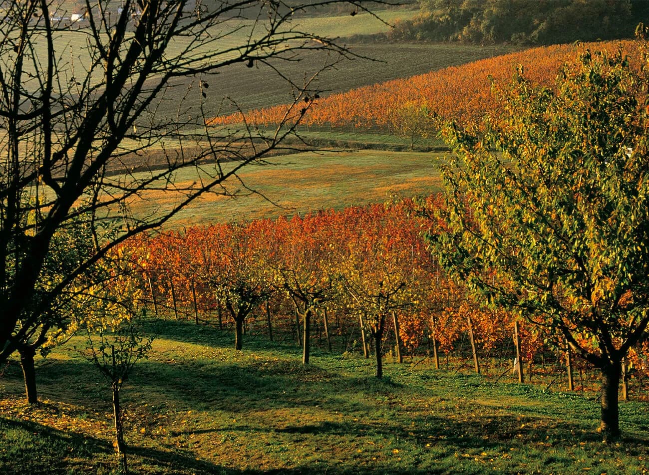 Veneto