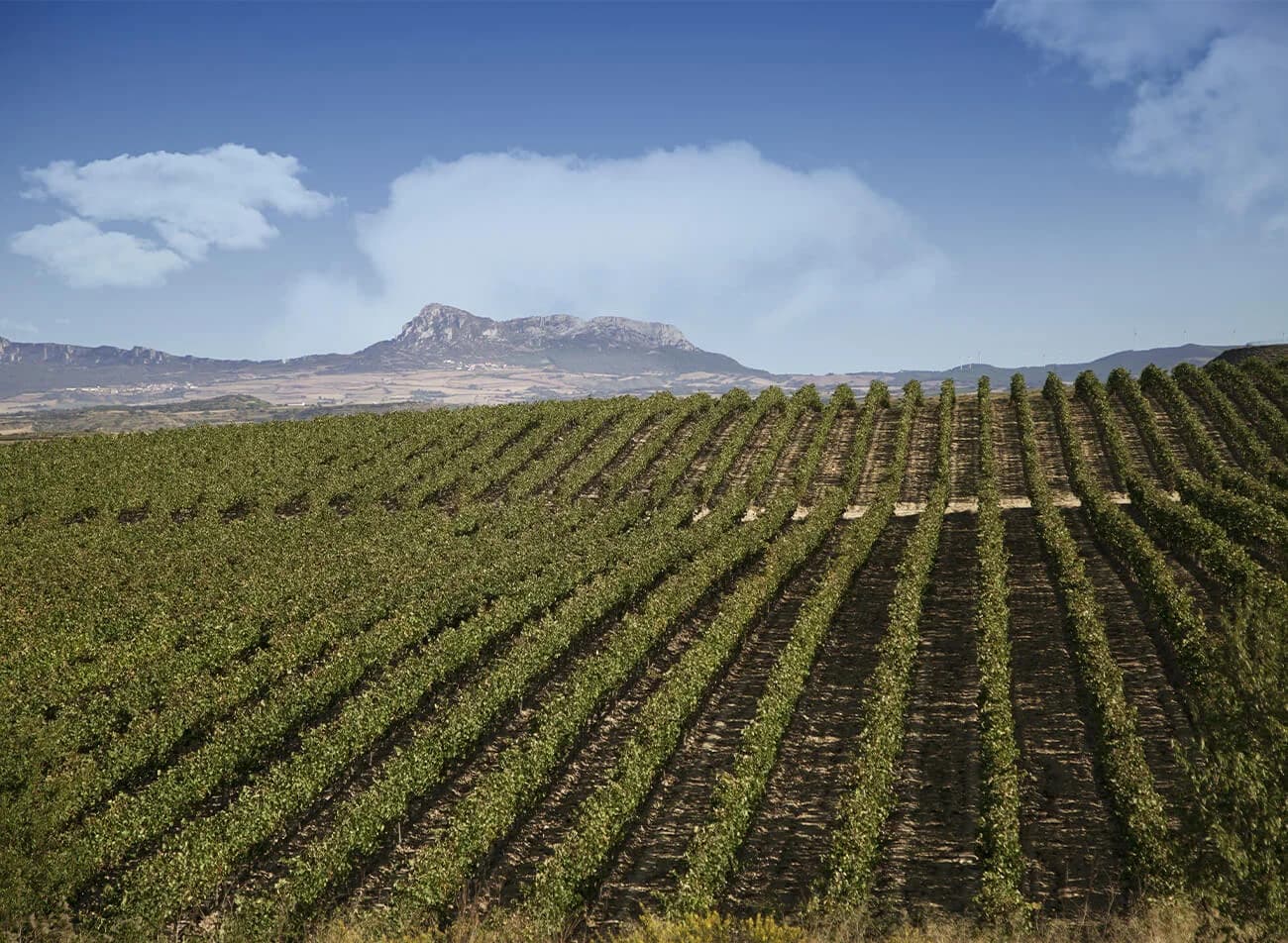 Castilla la Mancha
