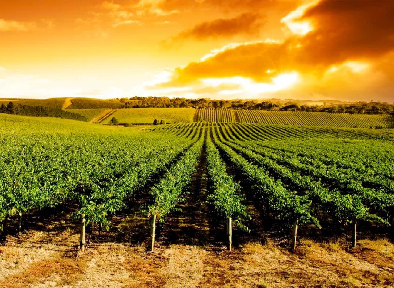 Swartland