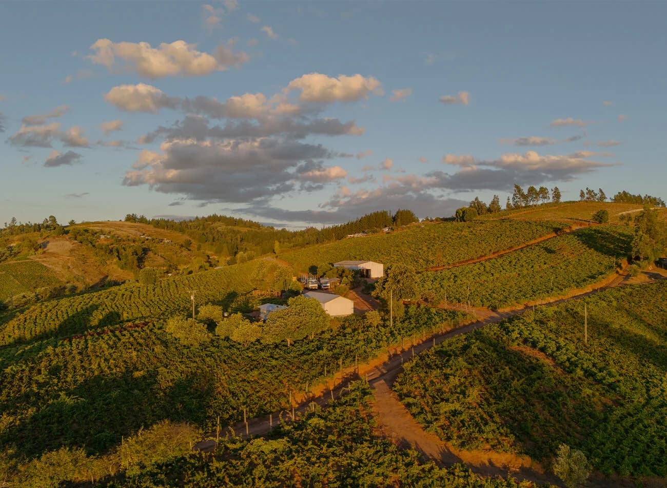 Valle del Itata