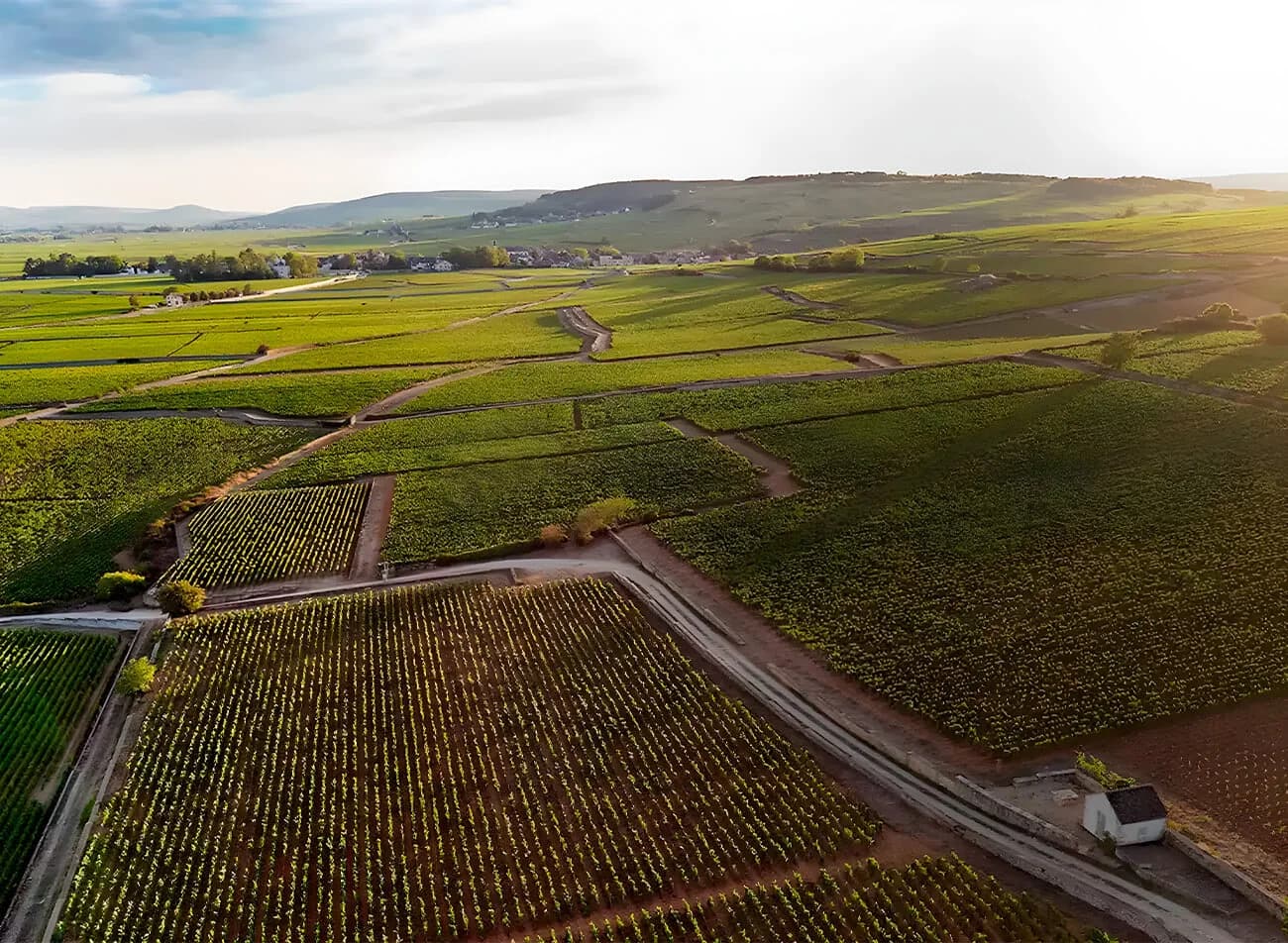 Beaujolais