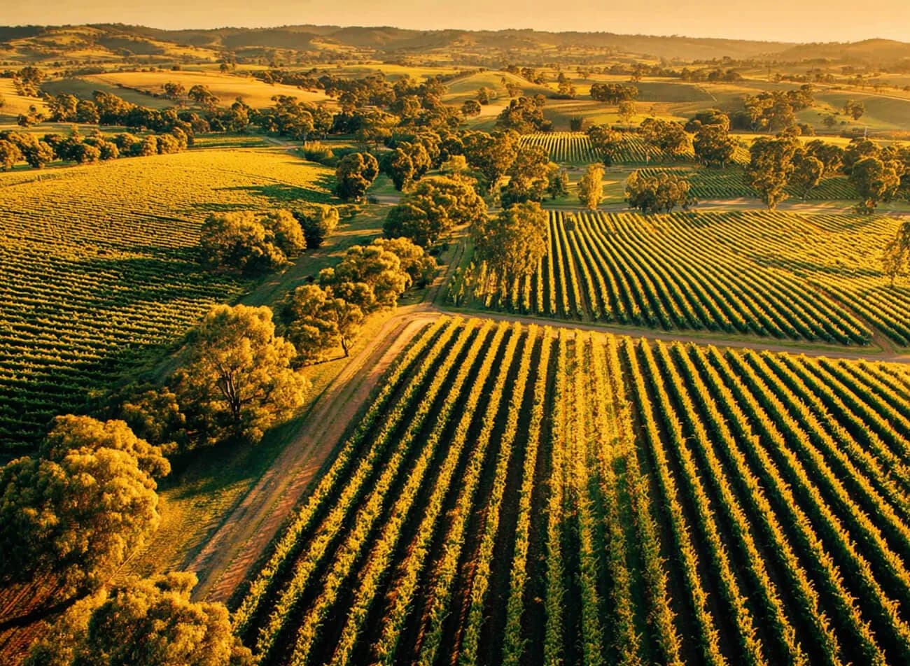 Barossa