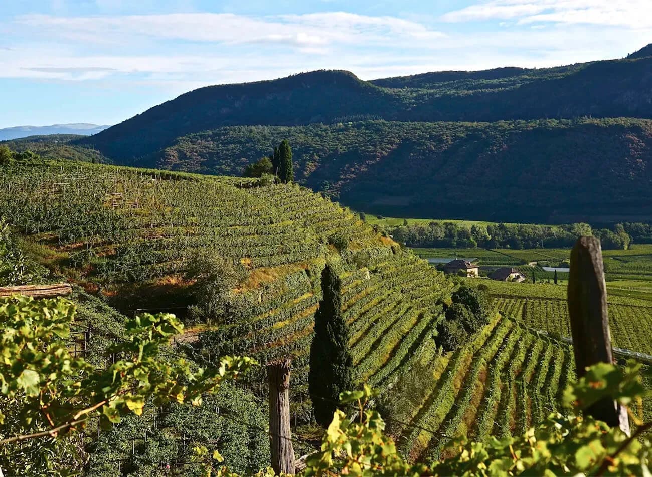 Trentino-Alto-Adige