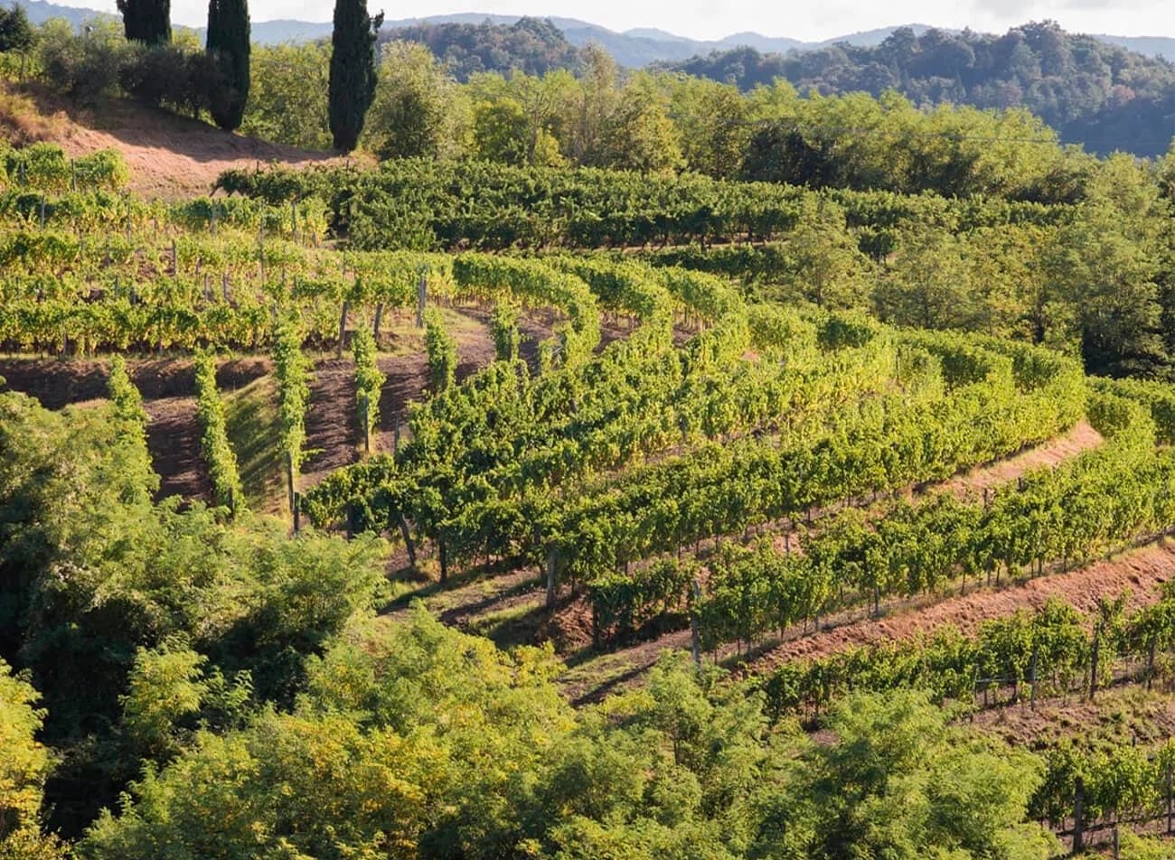 Friuli