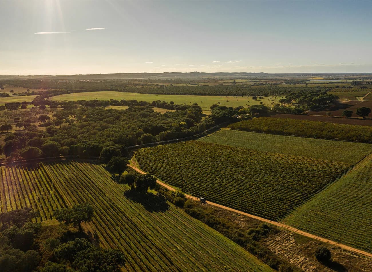 Alentejo