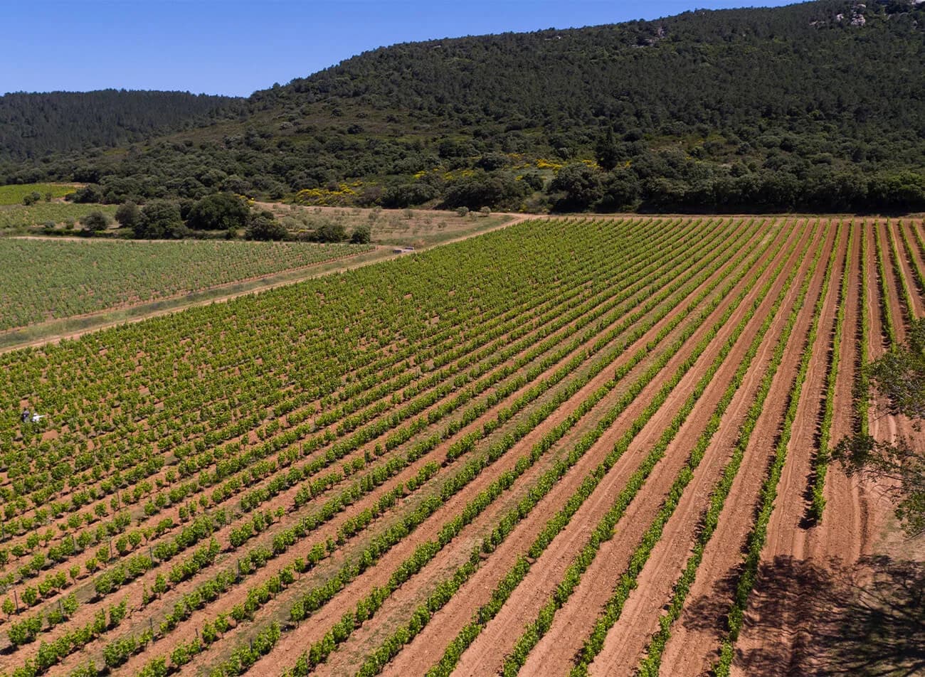 Languedoc-Roussillon