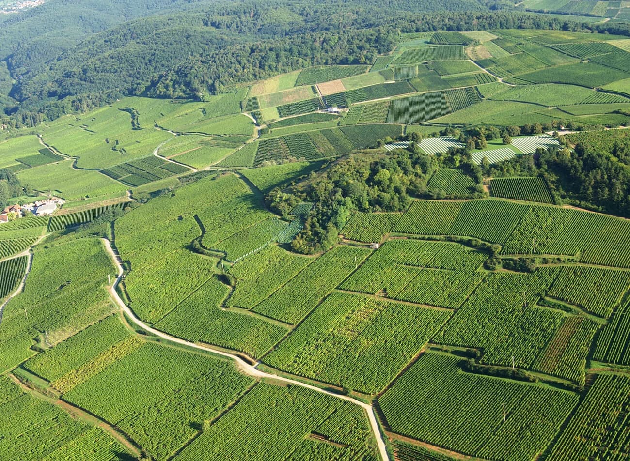 Alsace