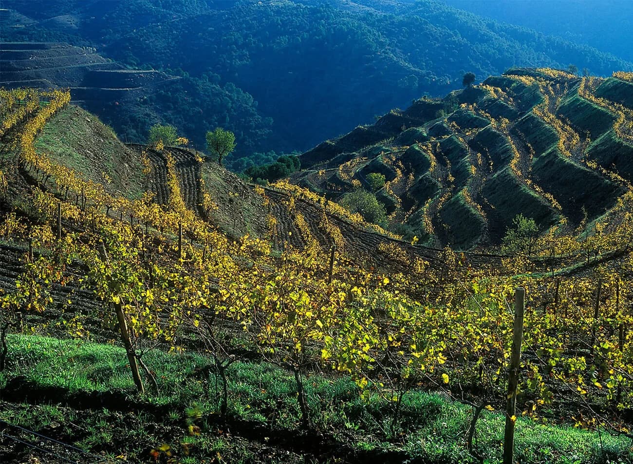 Priorat