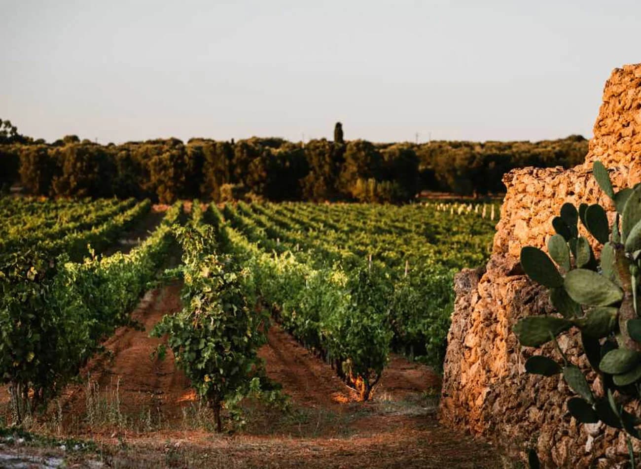 Puglia