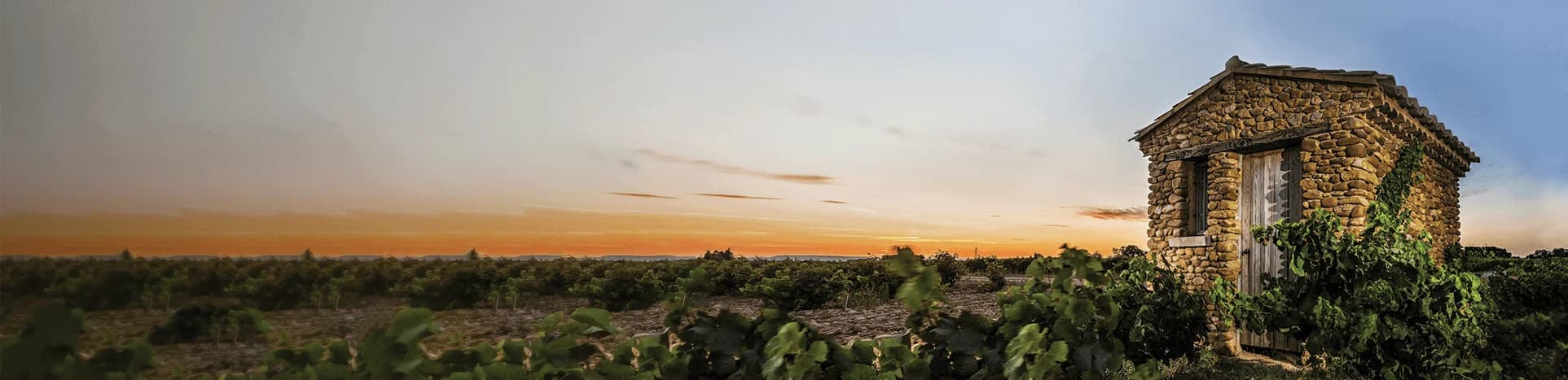 Rhône