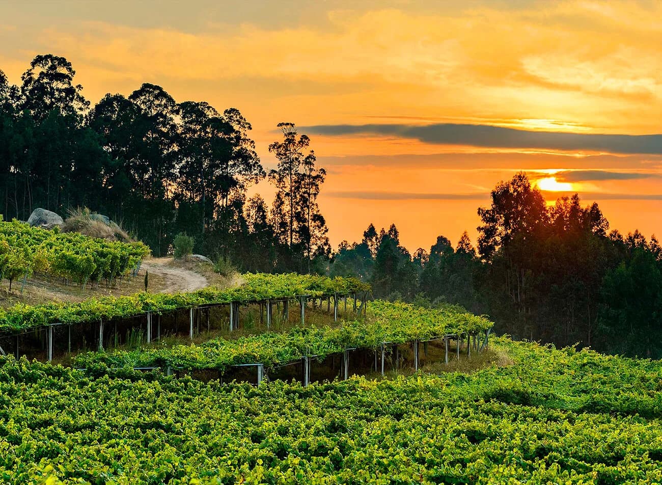 Rías Baixas