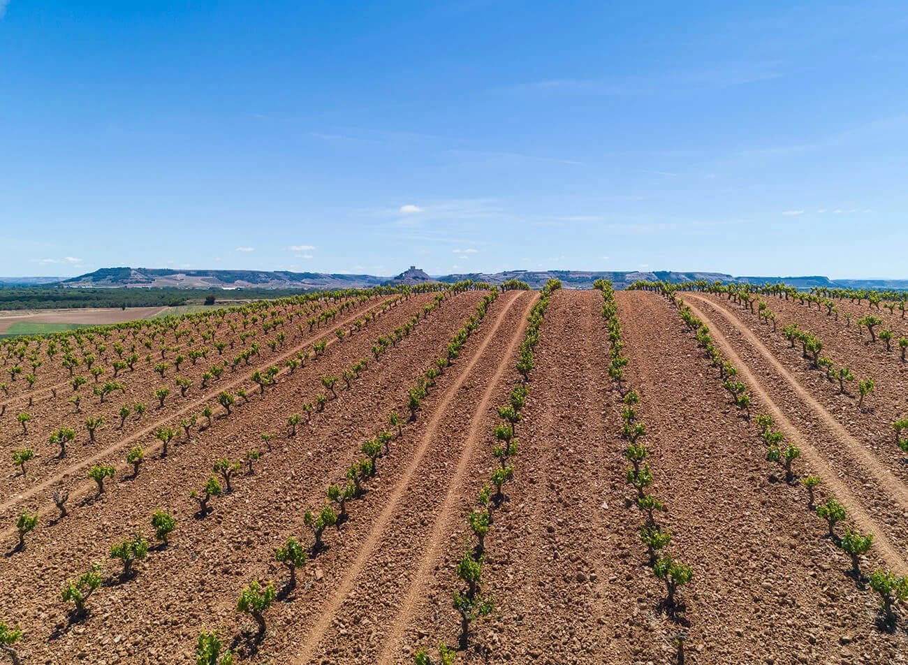 Ribera del Duero