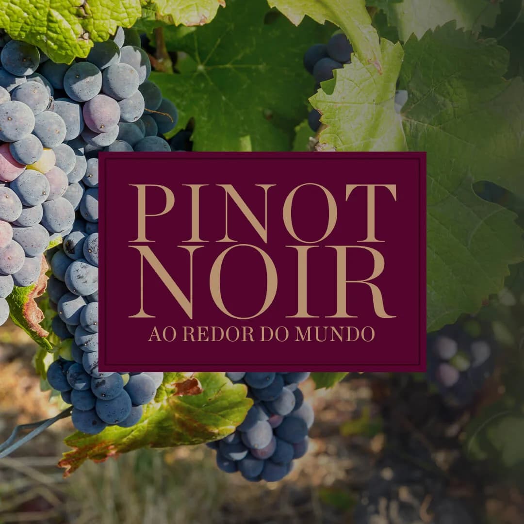 Pinot Noir ao Redor do Mundo