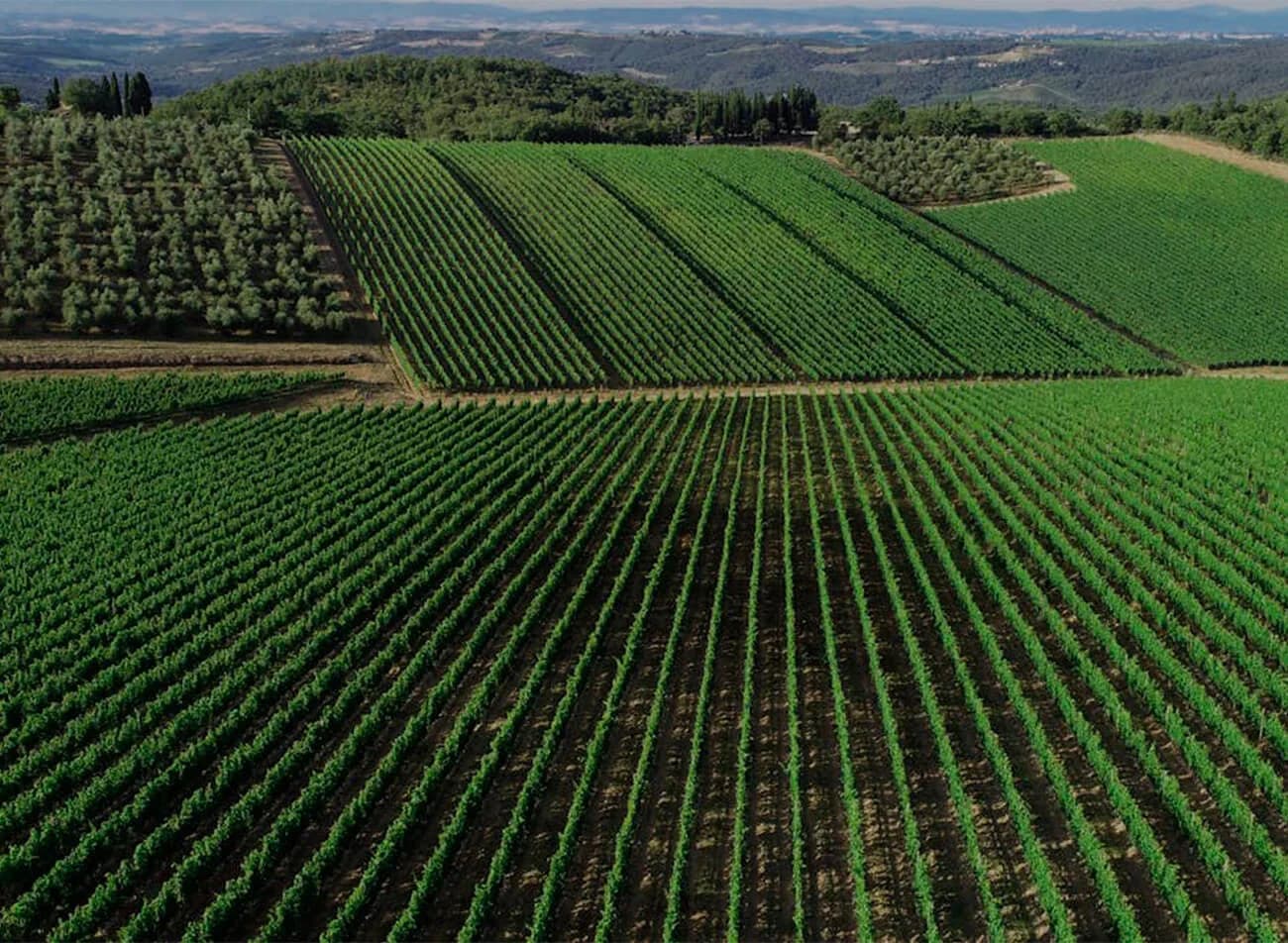 Chianti Classico