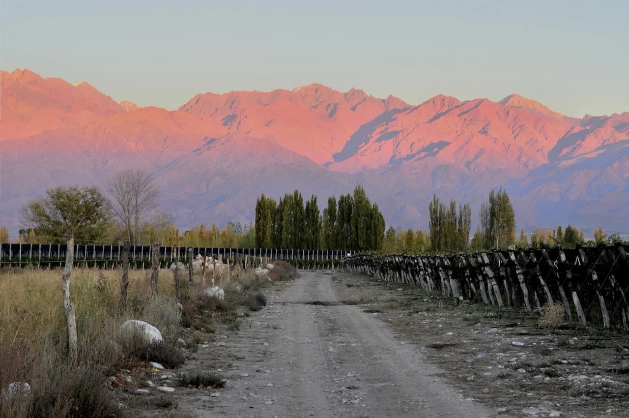 Bodegas Caro - Vinhedos e paisagem