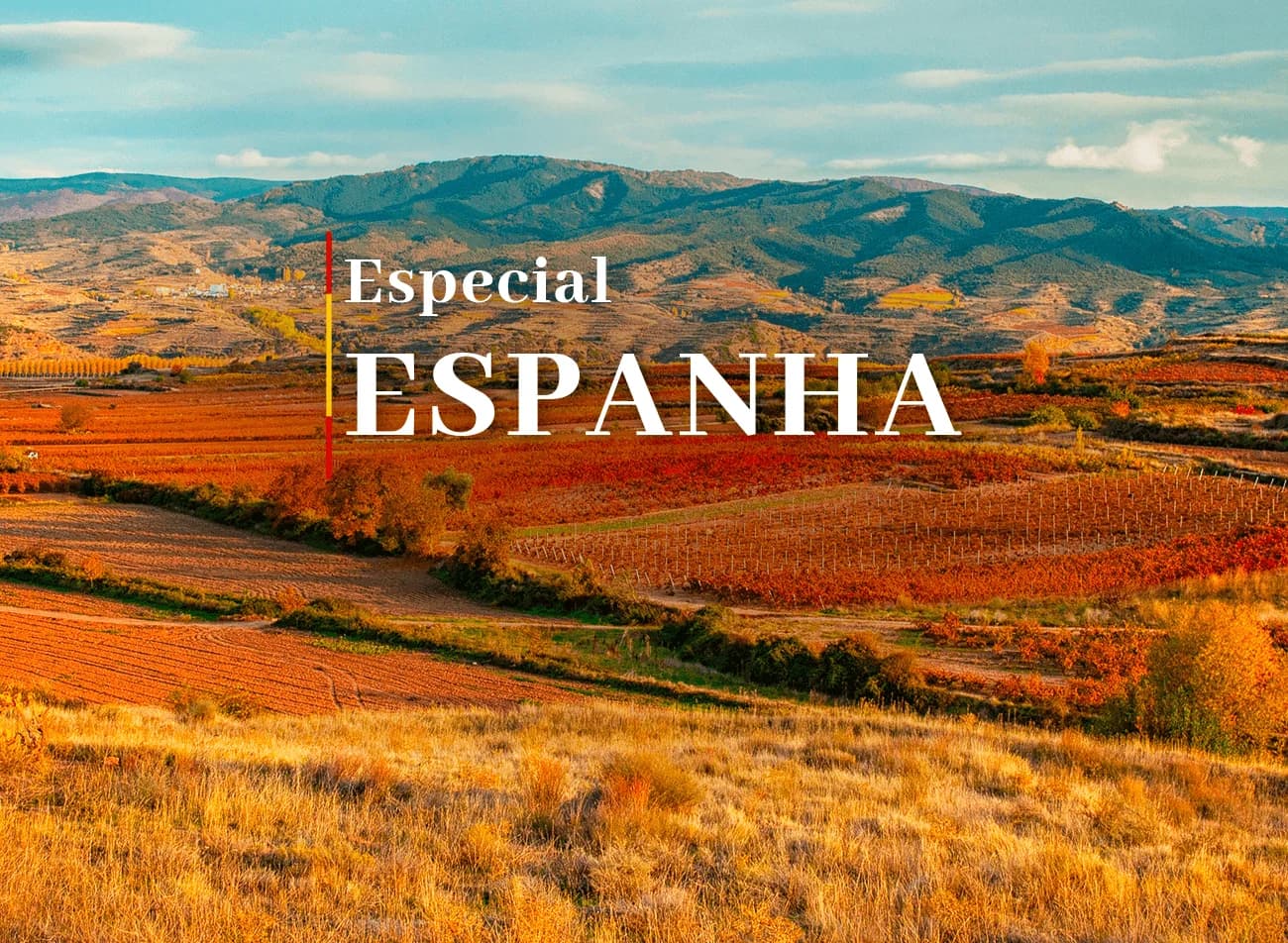 Banner Seleção Espanha - Vinhedos espanhóis