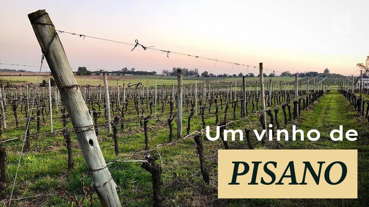 Pisano - Thumbnail