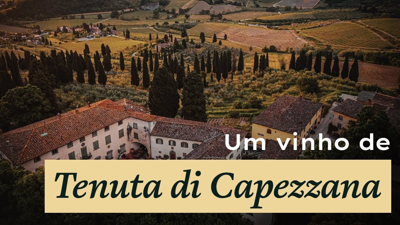 TENUTA DI CAPEZZANA - Thumbnail