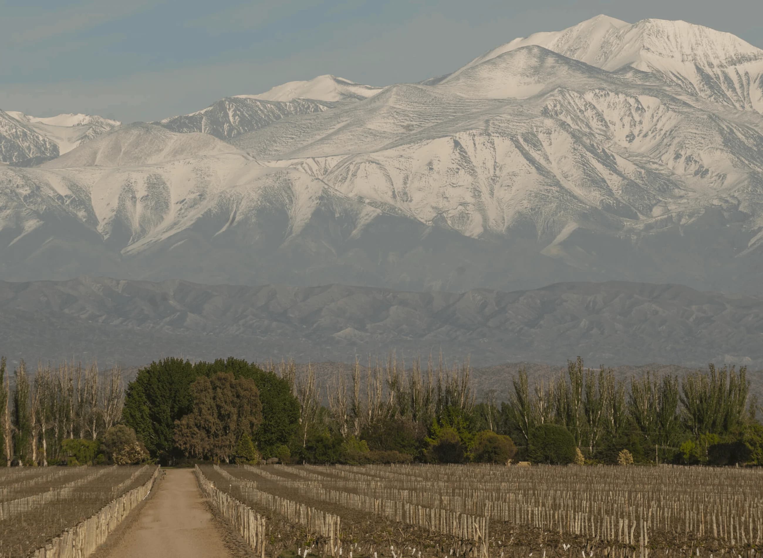 Catena Bodega y Viñedos
