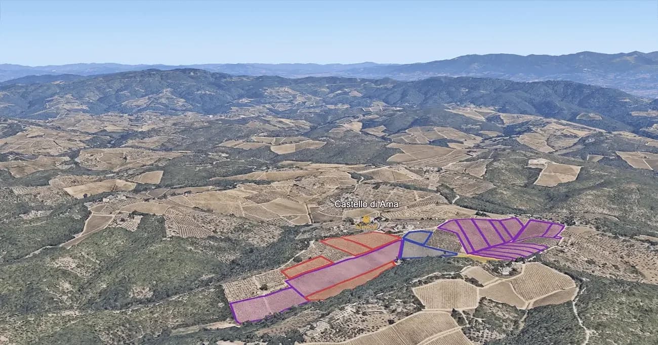 Mapa do terroir - Chianti Classico Gran Selezione Vigneto Bellavista 2020