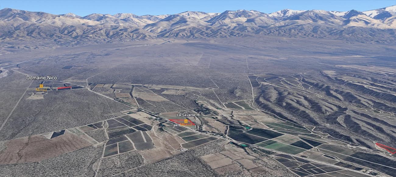 Mapa do terroir - Nico La Savante Pinot Noir 2023