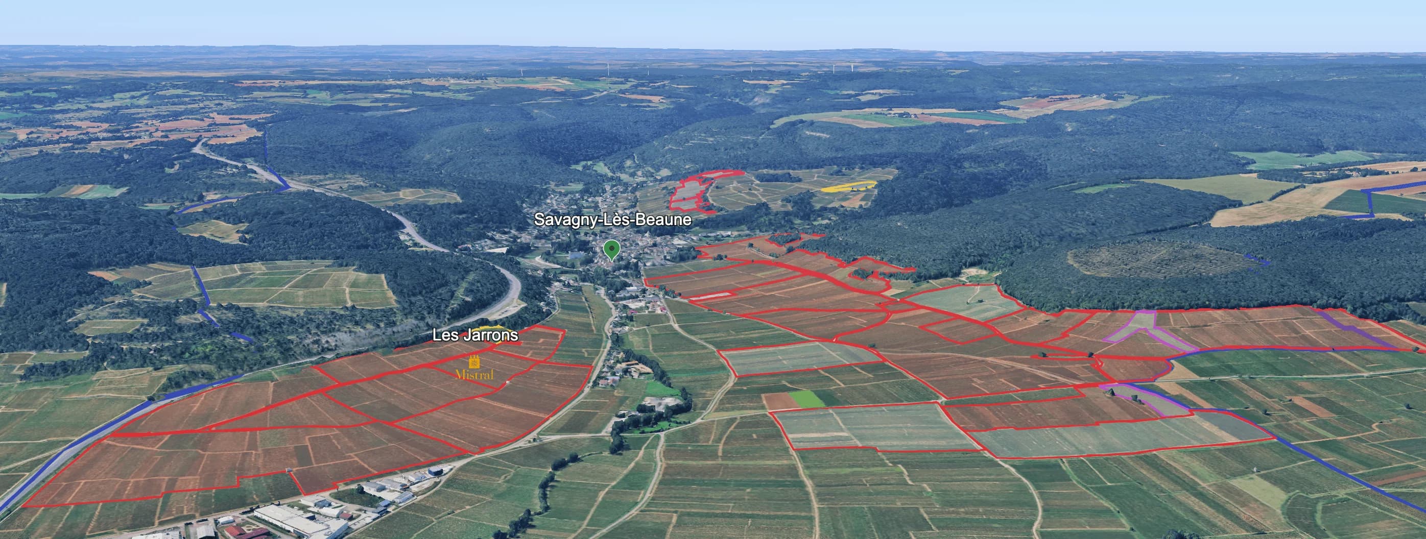 Mapa do terroir - Esprit Leflaive Savigny-Les-Beaune 1er Cru Les Jarrons 2022