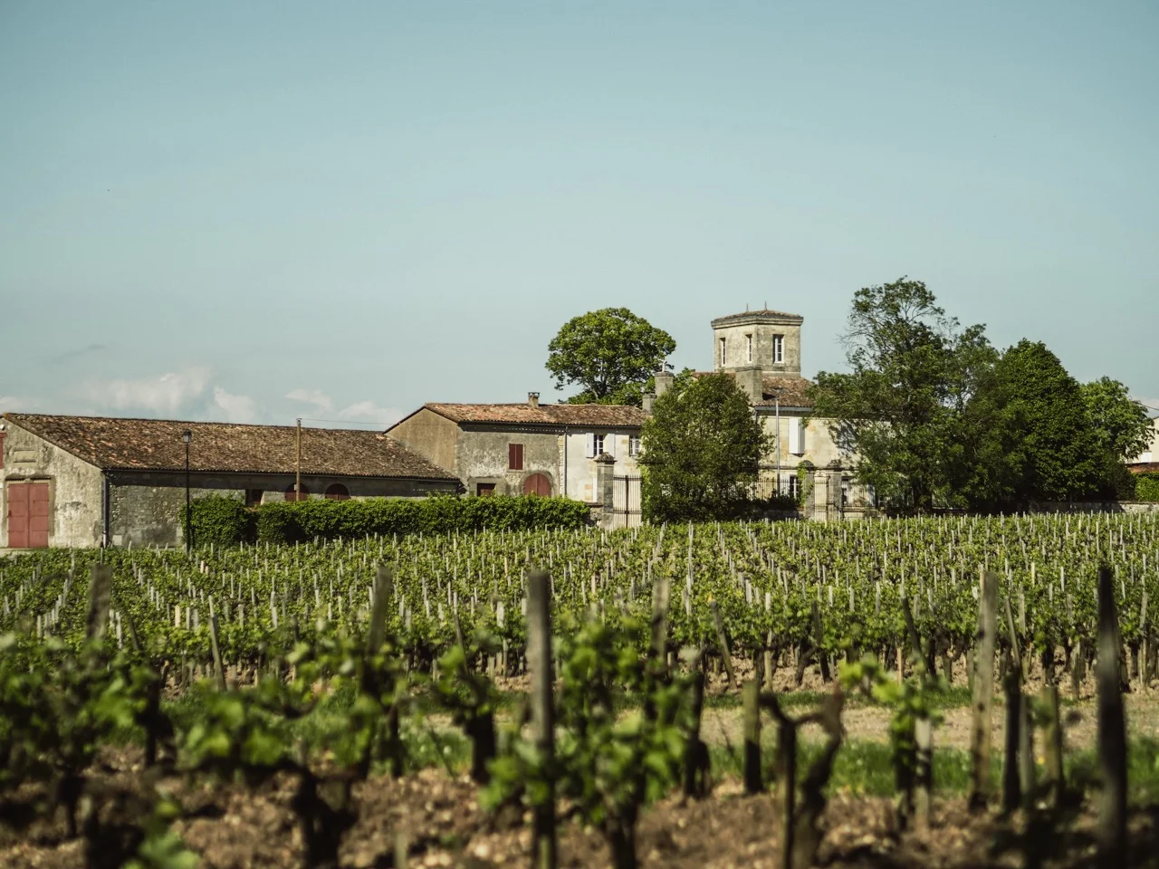 Anseillan - Vinhedos do Château Lafite